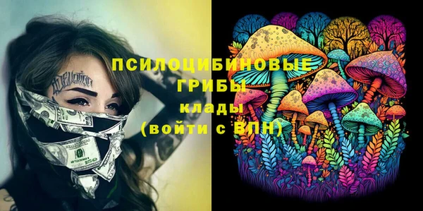 apvp Белоозёрский