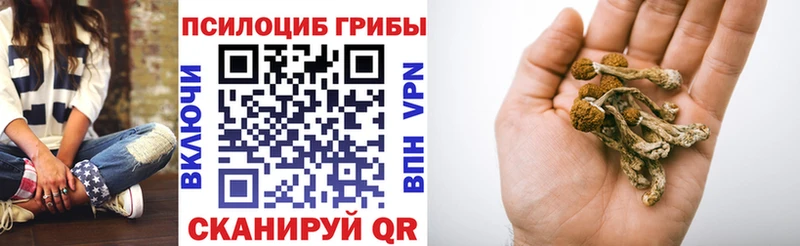 продажа наркотиков  дарк нет какой сайт  Псилоцибиновые грибы MAGIC MUSHROOMS  Великий Новгород 